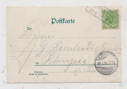 0-6825 SCHWARZBURG, Lithographie 1899, Eberstein, Ortsansicht, Hirsch, Kastenstempel