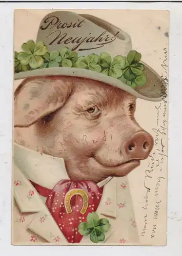 TIERE - SCHWEINE / Pigs / Porcs / Varkens / Maiali / Cerdos, Glücksschwein mit Hut, 1902, kl. Eckknick