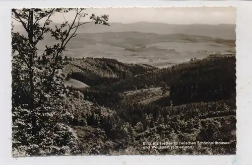 5950 FINNENTROP - WEUSPERT, Blick ins Frettertal, 1962