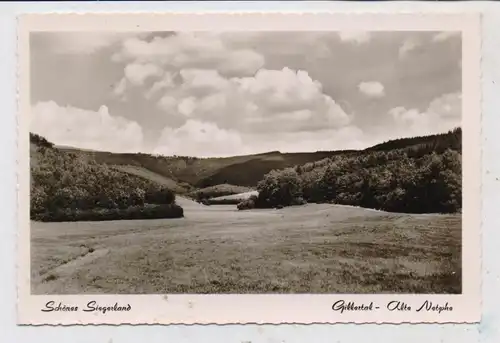 5902 NETPHEN - AFHOLDERBACH, Gillertal, Alte Netphe