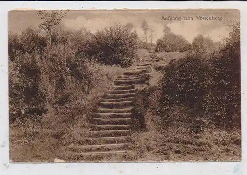 4193 KRANENBURG, Aufgang zum Vossenberg