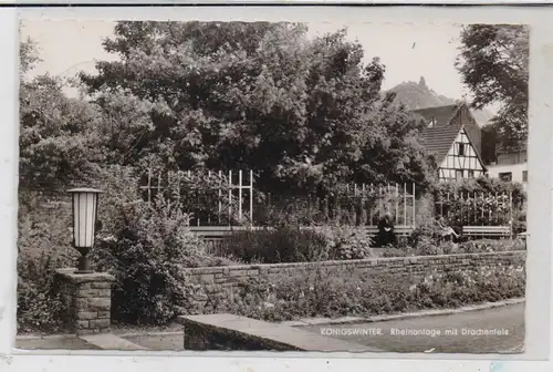 5330 KÖNIGSWINTER, Rheinanlagen mit Blick auf den Drachenfels, 1961