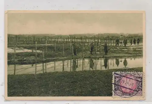UKRAINE - 1.Weltkrieg, Strypafront, befestigtes Sumpfgelände, 1916