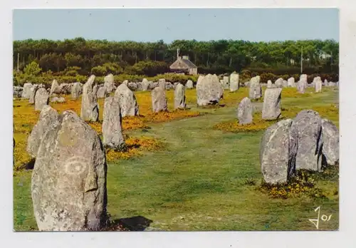 HÜNENGRAB / DOLMEN / MENHIR - Menec