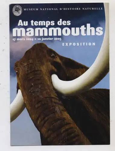 PRÄHISTORISCHE TIERE - Mammut, Naturkundemuseum Paris