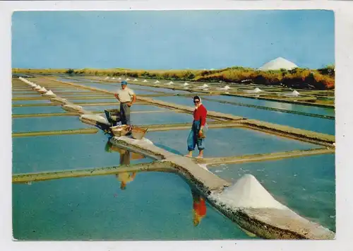 BERUFE - MEERSALZGEWINNUNG / Ile de Re