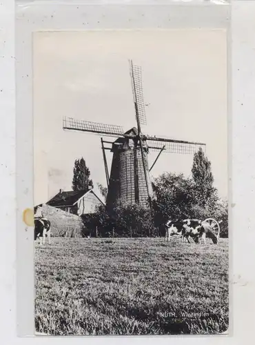 WINDMÜHLE / Mill / Molen / Moulin - NUTH / NL,
