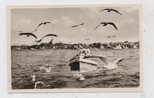 2447 HEILIGENHAFEN, Blick vom Meer, Fischkutter, Möven, ca. 1960