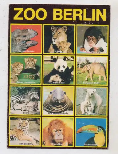 1000 BERLIN - TIERGARTEN, ZOO, Panda, Löwenbabys, Elefant, Tiger, Eisbär