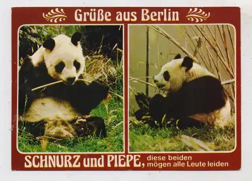 1000 BERLIN - TIERGARTEN, ZOO, Panda