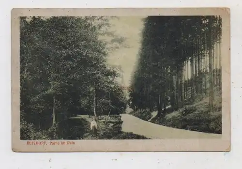 5240 BETZDORF, Partie am Rain, 1920