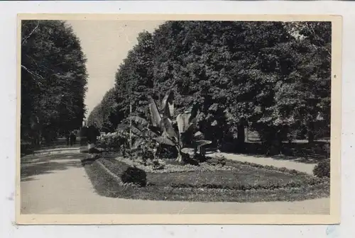 BÖHMEN & MÄHREN - OLMÜTZ / OLOMOUC, Stadtpark, August 1945