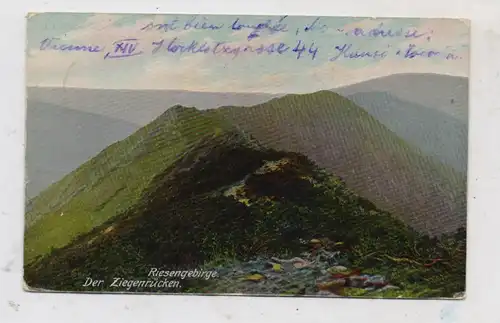 BÖHMEN & MÄHREN - SPINDLERMÜHLE / SPINDLERUV MLYN, Ziegenrücken, 1911, Verlag Trenkler