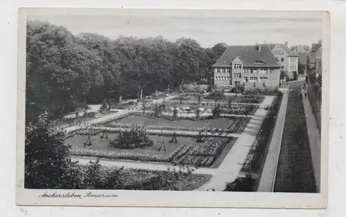 0-4320 ASCHERSLEBEN, Rosarium
