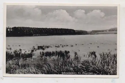 3579 SCHWARZENBORN, Blick über den Knüllteich