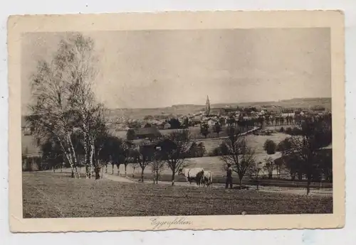 8330 EGGENFELDEN, Blick üder den Ort, Ochsengespann beim Pflügen, Verlag Uri