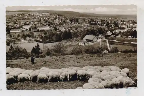 7252 WEIL DER STADT, Panorama, Schafherde, 1964