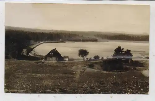 0-9412 SCHNEEBERG, Der Filzteich, 1931