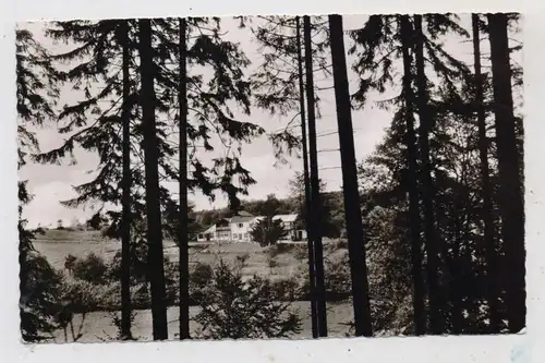 3354 DASSEL - LÜTHORST,  Haus Wildwiese, 1962