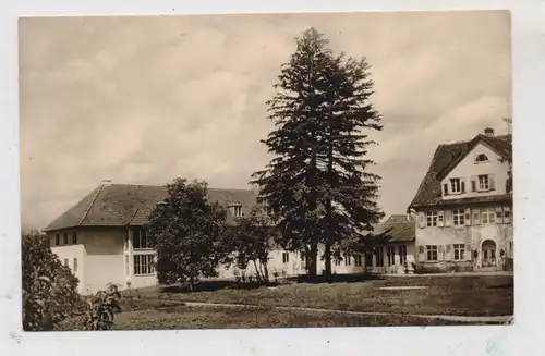 8990 LINDAU, Jugendherberge, 1958
