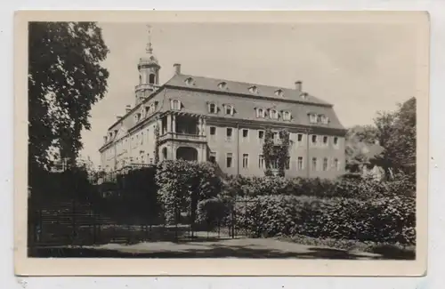 0-9387 NIEDERWIESA - LICHTENWALDE, Schloss, 1955