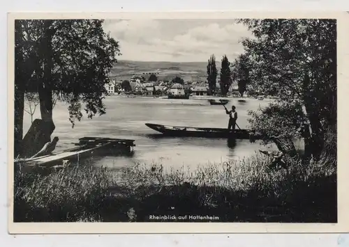 6228 ELTVILLE - HATTENHEIM, Rheinblick auf Hattenheim, Rheinfischer, 1957