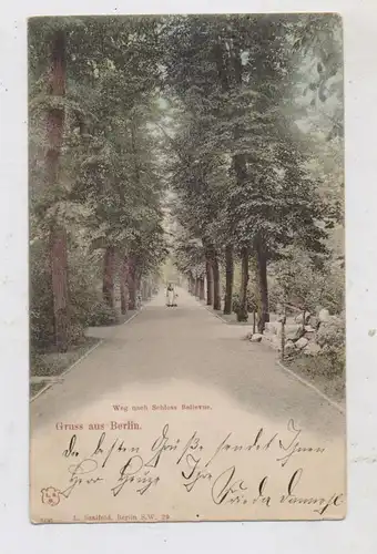 1000 BERLIN - TIERGARTEN, Weg nach Schloß Bellevue, 1901