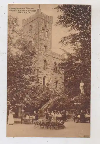 0-8704 CUNEWALDE, Aussichtsturm und Bismarckturm auf dem Czorneboh, belebte Szene, Verlag Grunewald