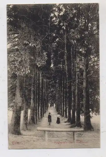 5500 TRIER, Seufzerallee beim Weisshaus, 1906