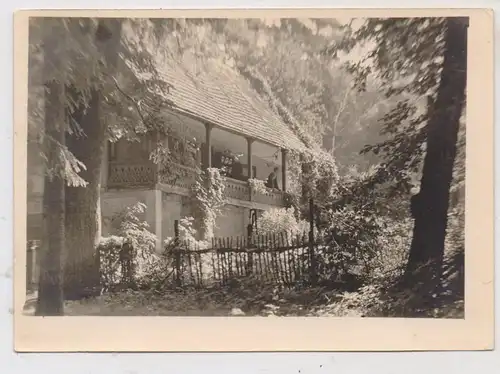 0-8509 STEINIGTWOLMSDORF - WEIFA, Einzelhaus, Photo-AK, Landpoststempel "WEIFA O/L", 1954