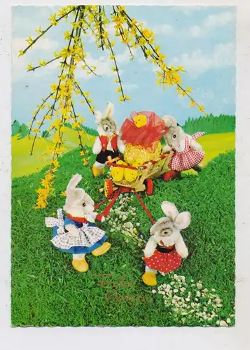 SPIELZEUG / TOYS, STEIFF Osterhasen