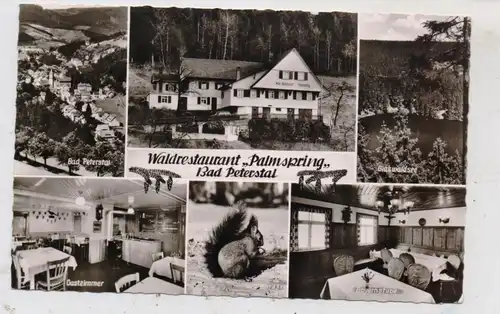 7605 BAD PETERSTAL, Waldrestaurant "Palmsring", 1966