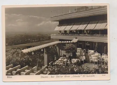 0-8000 DRESDEN - WEISSER HIRSCH, Luisenhof, HO - Gaststätte, 1954