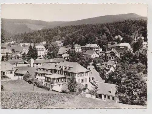 F 67140 LE HOHWALD, vue generale, CPSM