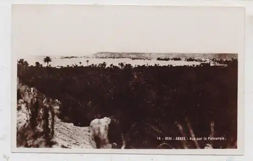 ALGERIE - BENI ABBES, Palmeraie