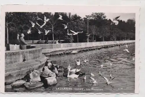 CH 1000 LAUSANNE - OUCHY VD, Les Mouettes / Möven und Schwäne