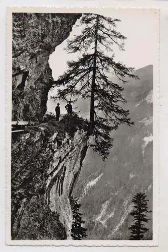 CH 3963 CRANS VS, Le Bisse de Roth