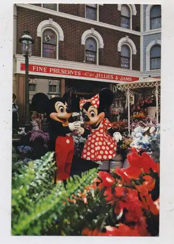 DISNEY - DISNEYLAND, "The Flower of his Eye", Mickey & Minnie