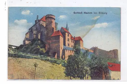 5520 BITBURG - HAMM, Schloss Hamm, leicht fleckig