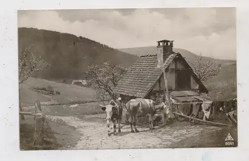 LANDWIRTSCHAFT - Bauernhof mit Kühen