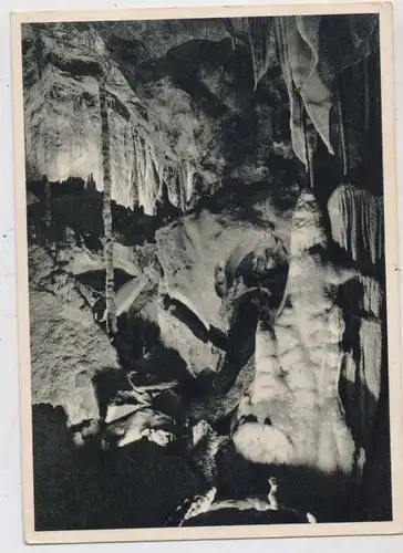 5952 ATTENDORN, Tropfsteinhöhle, Eisbär und Säule