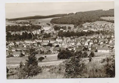 5928 BAD BERLEBURG, Panoramaansicht