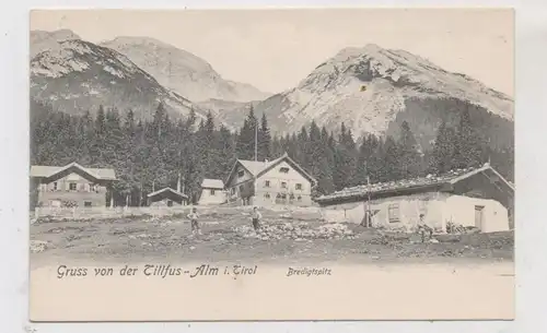 A 6413 WILDERMIEMING - NIEDERMIEMING, Tillfussalm und Bredigtspitz, ca. 1900, Verlag Irl - Mittenwald