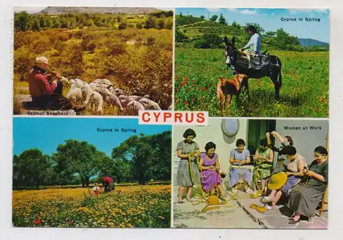 CYPRUS / ZYPERN, Rural life, Landwirtschaft
