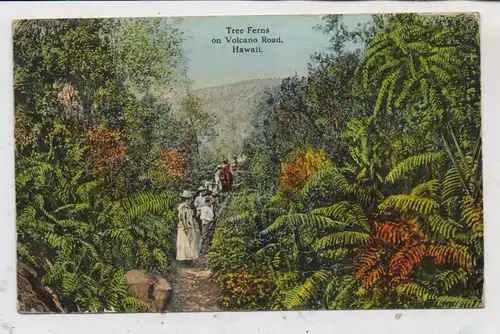 USA - HAWAII - Volcano Road, Tree Ferns, Honolulu - Tokyo, WAF / Mängel