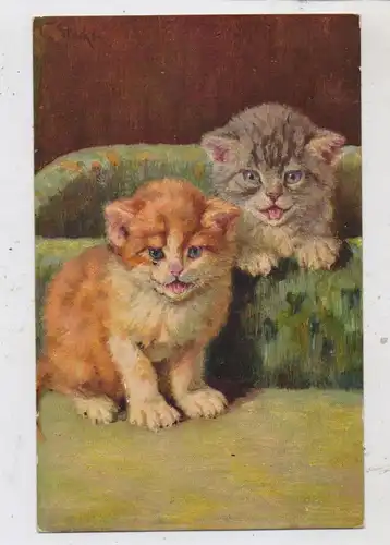 TIERE - KATZEN / Cats / Chats / Gatti / Katten, 2 kleine Kätzchen, Künstler-Karte