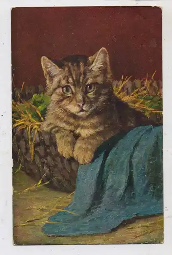 TIERE - KATZEN / Cats / Chats / Gatti / Katten, Katze im Körbchen, Künstler-Karte