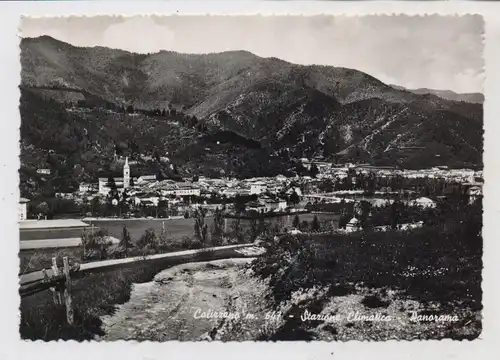 I 17020 CALIZZANO, totale