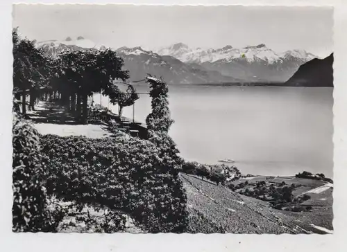 CH 1071 CHEXBRES VD, Hotel - Restaurant Bellevue