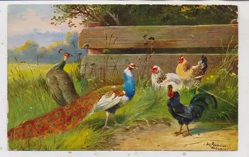 LANDWIRTSCHAFT - GEFLÜGEL / POULTRY, Hühner, Pfauen,, Künstler-Karte, Alfred Schönian, Druckstelle